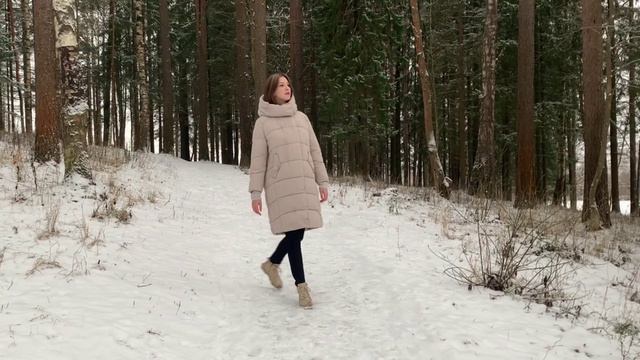 Опять метель