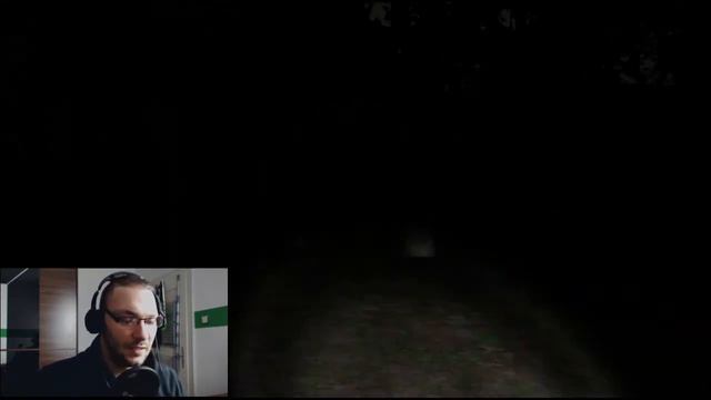 Ein Dani allein im Wald - Let´s Play Slender - The Eight Pages [Deutsch][HD][FACECAM]