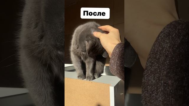 Любовь твори чудеса