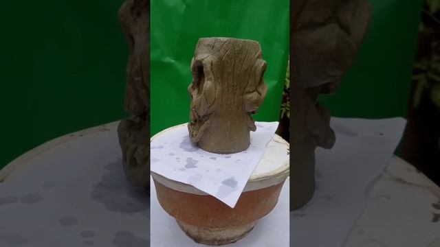 concrete concrete skull  Halloween design Diy