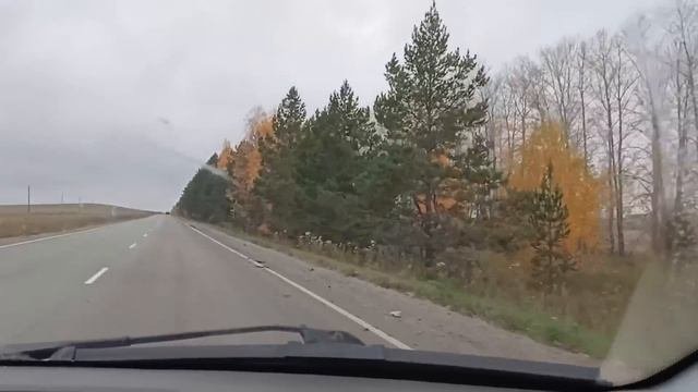 Поехали за товаром и попали в гости/