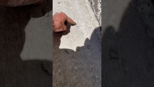 Брашированый бетон спустя 4 дня после заливки #shortvideo #youtube #бетонирование #shortsvideo