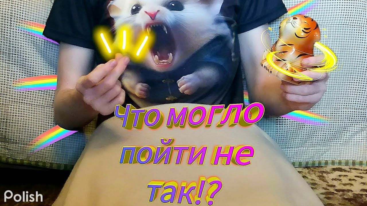 Что Пошло Не Так!?