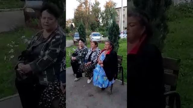 Листья жёлтые над городом кружатся