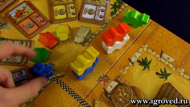 Camel Up. Обзор настольной игры от Игроведа