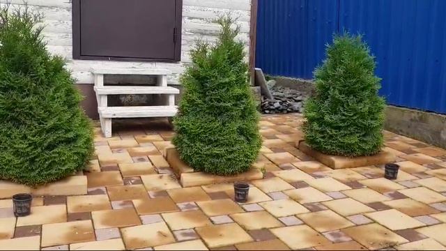 WhatsApp Video 2024-08-15 At 15.39.19