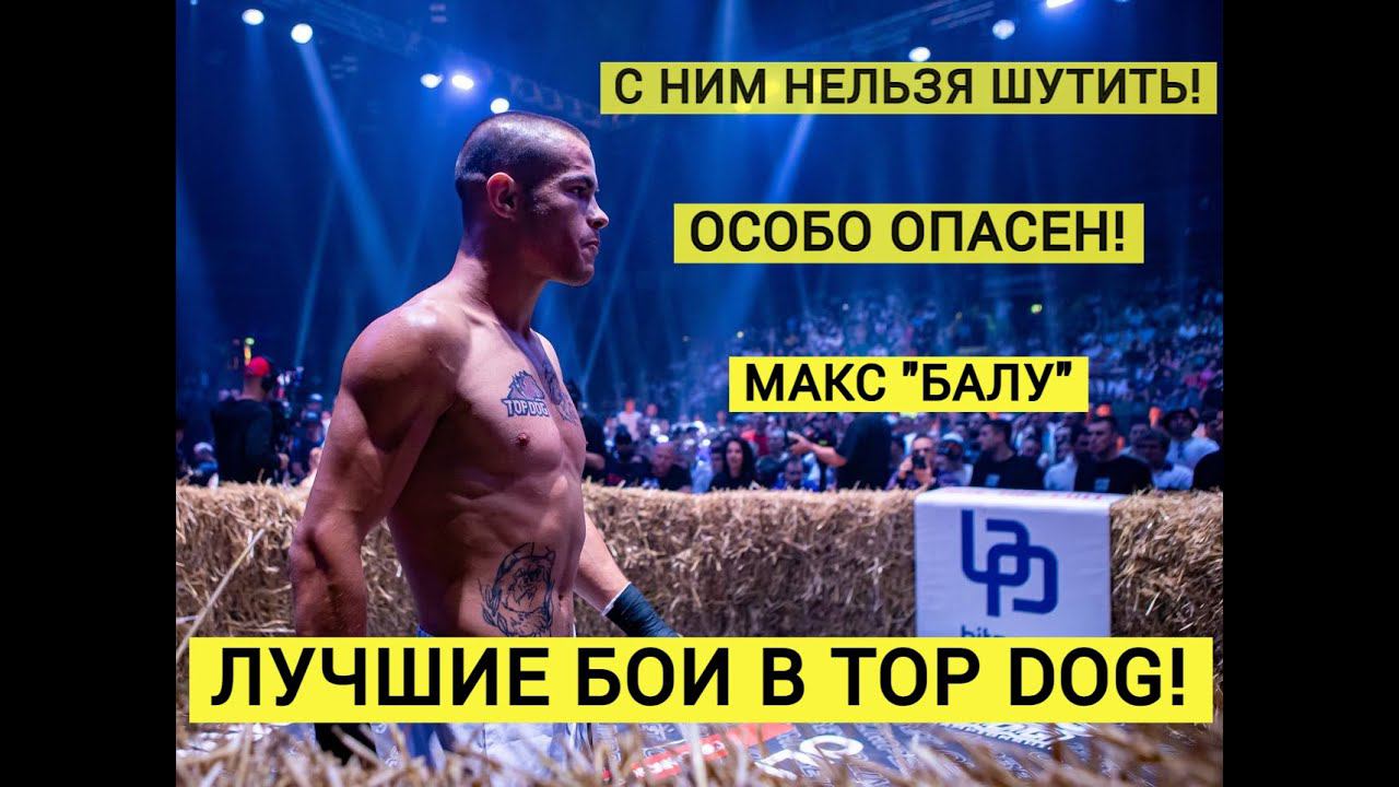 ВСЕ бои БАЛУ из TOP DOG. Максим Бармин. Все соперники. Нокаут. Зрелище.