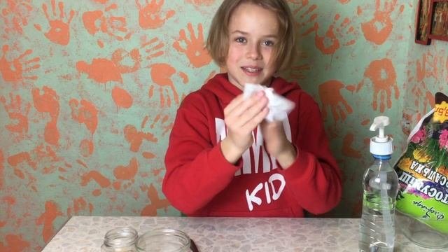 Сажаю дома клубнику. Что для этого нужно?