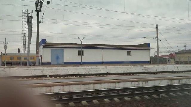 В Крым.? на Таврии.?ч.2.  Чем кормят.☕ Ресторан. Не верьте пурге про  парк львов Тайган. ??