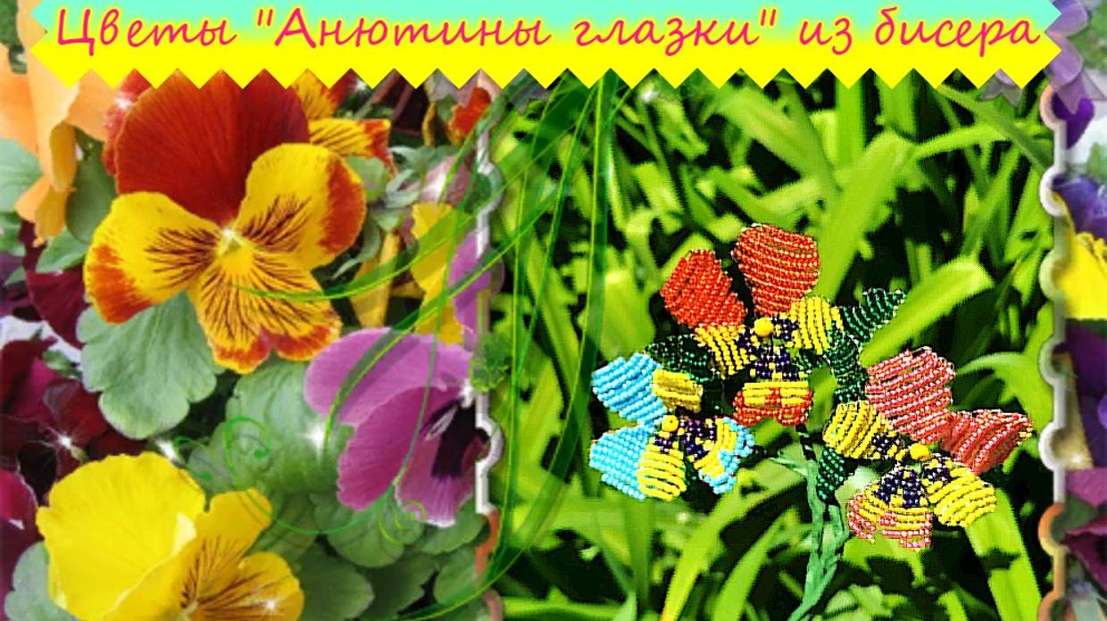 Цветы Анютины глазки!