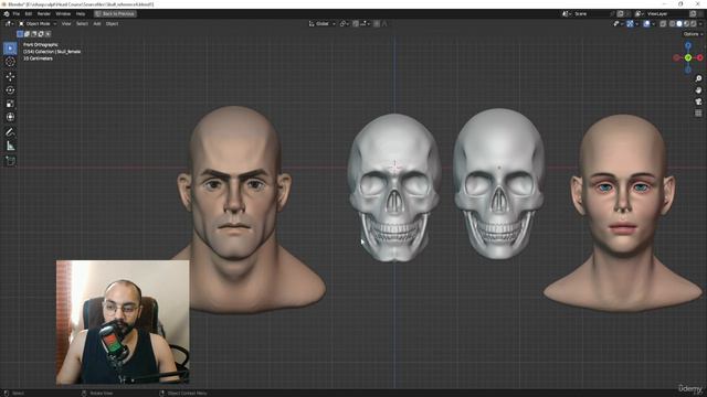 6. Male vs Female Skull