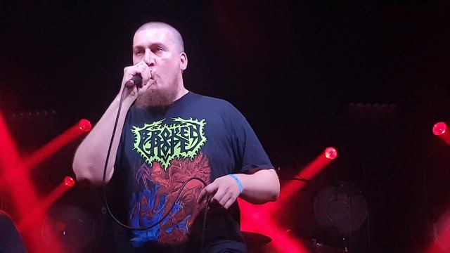 Faine Misto 2023/Flesh Gore  (29.07.2023)