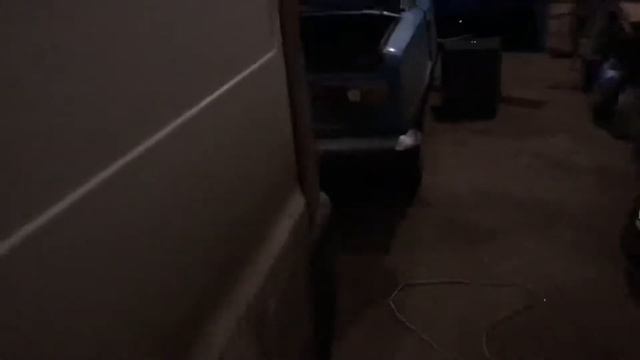 Помогут только железные нервы!!! Сгнило все только что можно ?