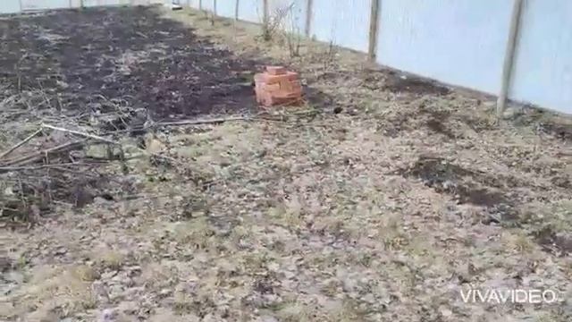 приехали на дачу