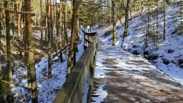 Выпускной в Калининграде. Много снега и купание в Балтийском море. сообщество предпринимателей эволю