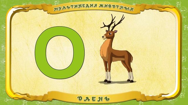 Мультипедия животных. Буква О - Олень