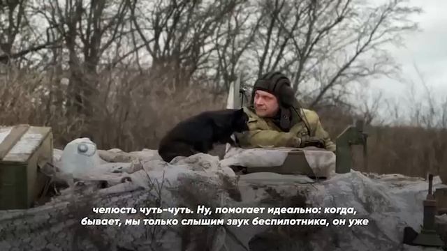 Бойцы подразделения ПВО и пёс Жужик дружно оберегают небо от авиации противника.