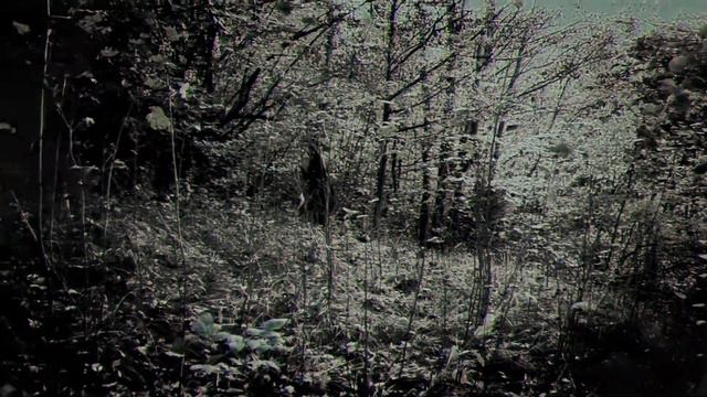 Сон Елены  'Вечный двигатель' (по пьесе А.П. Чехова 'Дядя Ваня')