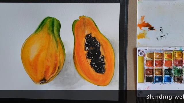 [Part 2] How To Paint Realistic Papayas Fruit | Watercolour Painting Tutorial