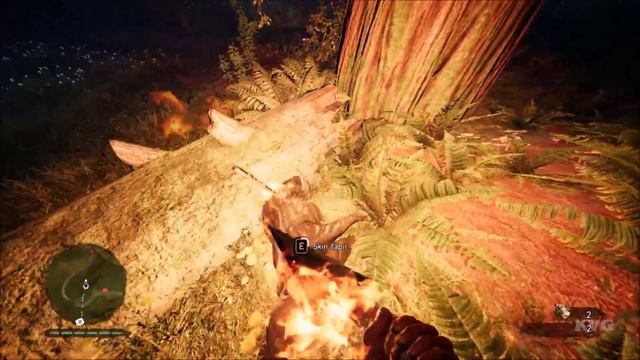 Far Cry Primal - Hunting Tapir | Location - Free Roam Gameplay (PC HD) [1080p60FPS]