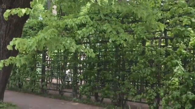 Санкт-Петербург. Летний сад.