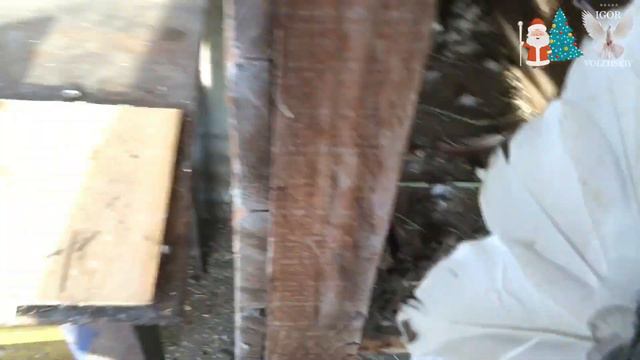 Сигнальные патроны в помощь голубям