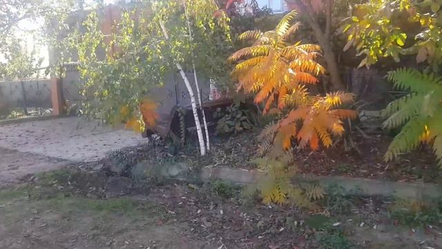 Влог# 160 Что такое ДОМ-КУБАНЕЦ? ?Котёнок пакостит? Почему у нас нет дохода с ЮТЮБА??