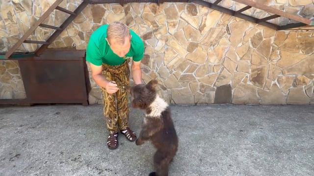 В Крыму маленького медвежонка спасли от жестоких хозяев