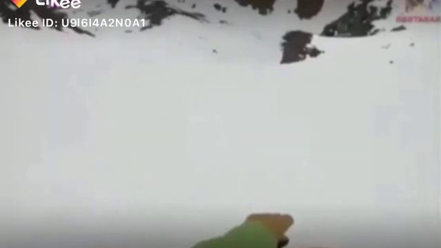 Пёсик ты куда????