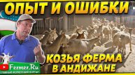 Ферма на 3000 коз. Неунывающий фермер. Доильный зал под навесом. Сыроварня и магазин. Узбекистан