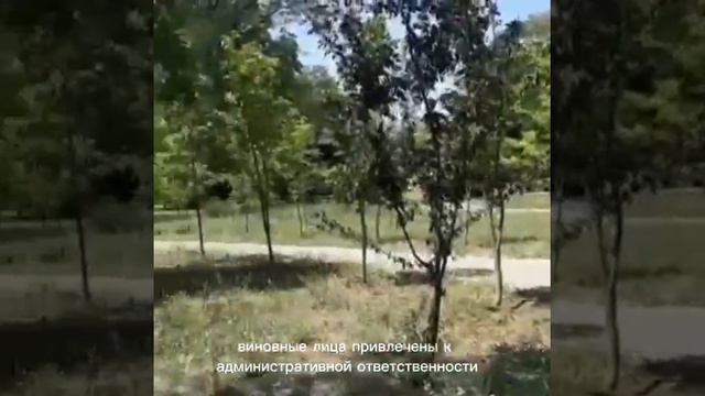 08-07 Видео от Административная инспекция Ростовской области