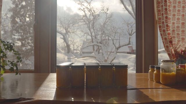 これぞ北海道、真っ白な世界。｜私が雪を好きな理由｜みかんペーストとフォー｜田舎暮らしのVlog