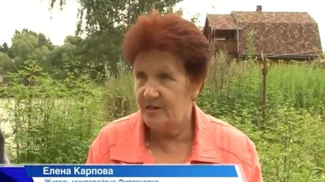 В Фирсановке вода губит деревья и дома