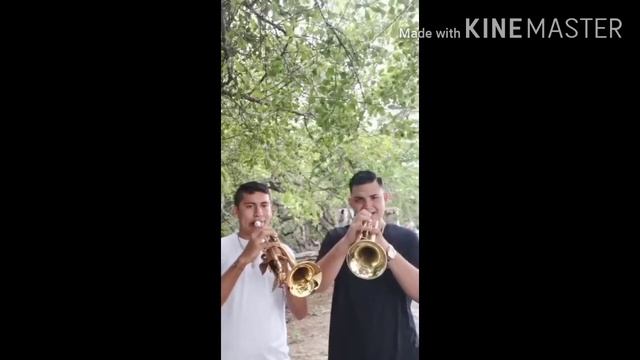 Bésame Mucho ??