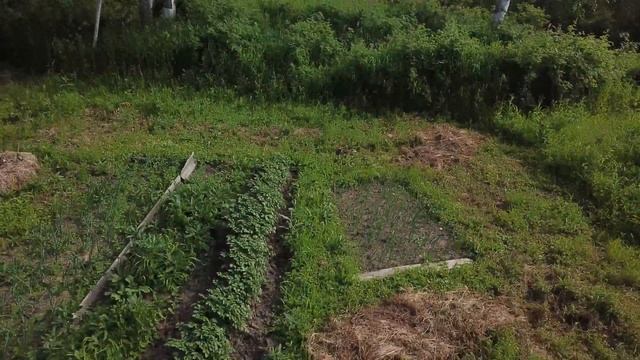 Рыбацкая избушка в лесу