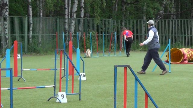 Джампинг, Профи. Володина Надежда и пудель Хани