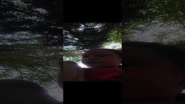 VID_20240809_160441.mp4