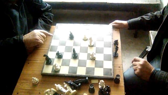 ЧЕМПИОНАТ ПО НАСТОЛЬНЫМ ШАШКАМ: ПТИЦЫ (ГУЛЬ-ГУЛЬ) И МИСТЕРА (ЯВАСЯ)