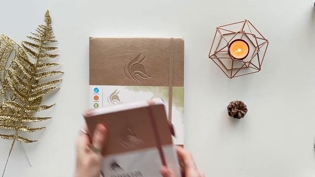 Clever Fox and Clever fox Pro planners review I Обзор ежедневников Clever fox и Clever fox PRO