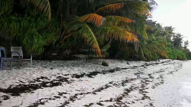 Мальдивы. Maldives. 马尔代夫。 126
