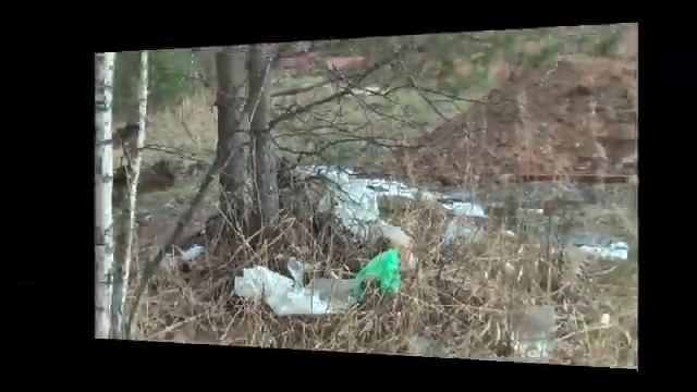 Свалка в Марьинке: гибель белого амура