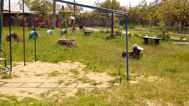 Снигиревка(2)