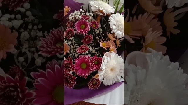 Мамулин день (06.12.23)???