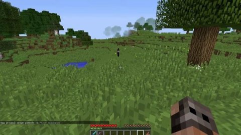 Лучший способ убить ведьму! Как убить ведьму в майнкрафт. Четко и ясно!