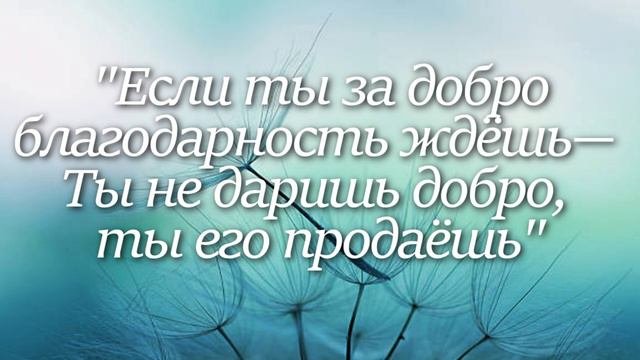 Омар ХАЙЯМ. Лучшие цитаты за 1 минуту!