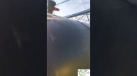 Установка бака для полива, часть 4 | poliv-info.ru