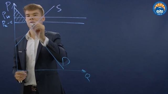Равновесие с торговлей при вмешательствах государства один товар