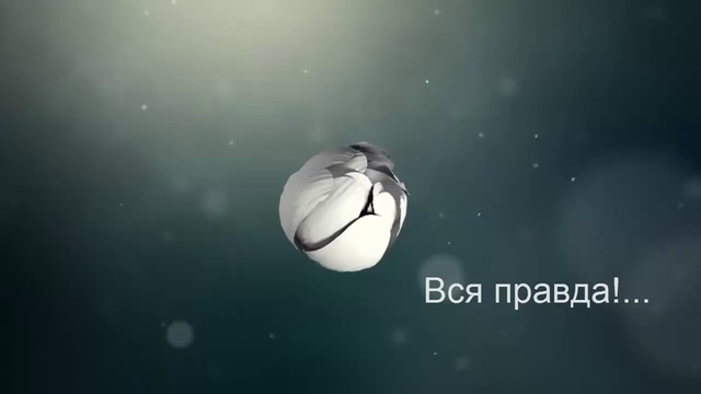 Интро 3 Вся правда!...