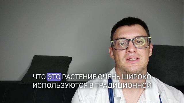 5 лекарственных растений, которые должен знать каждый