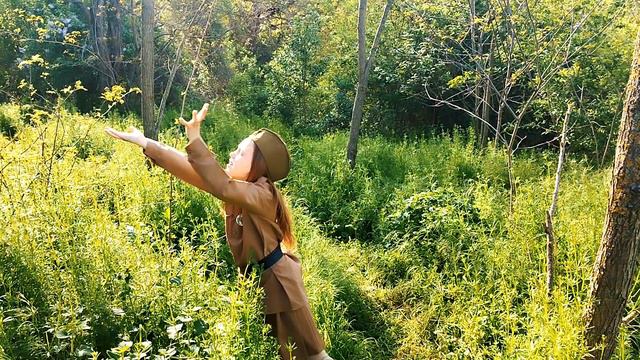 Дмитрощук Андриана - Погибшие за Родину в полёте